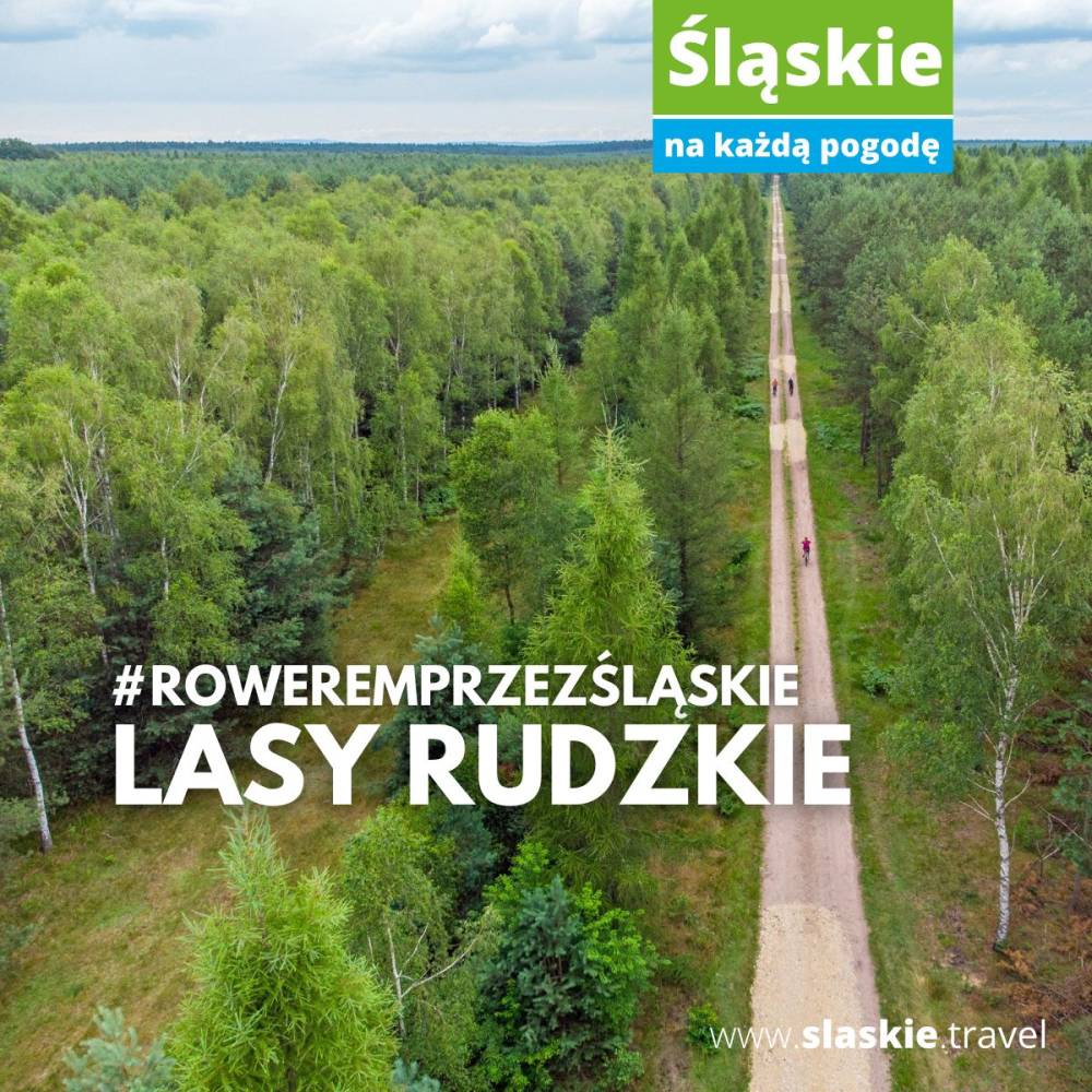 lasy rudzkie